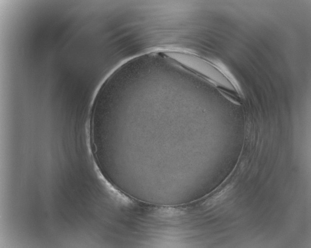 X0000075881100200609291633