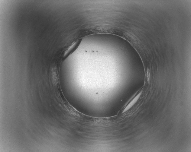 X0000075881107200609291632