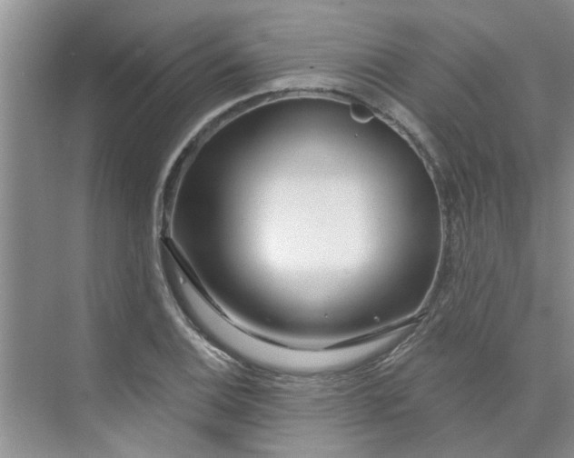X0000075881124200609291633