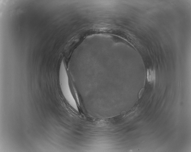 X0000075881155200609291632