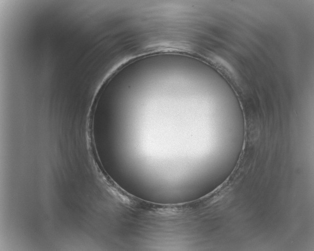 X0000075881182200609291632