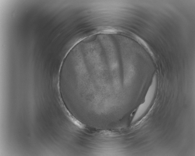 X0000075881194200609291632