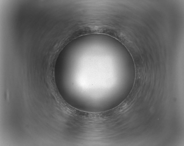 X0000075881249200609291631
