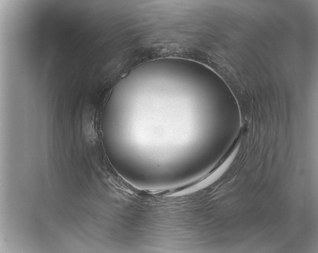 X0000075881250200609291631