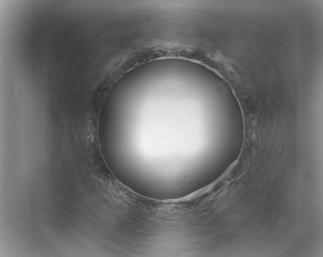 X0000075881253200609291631