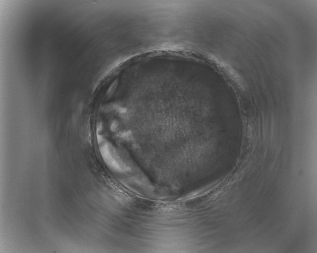 X0000075881262200609291631