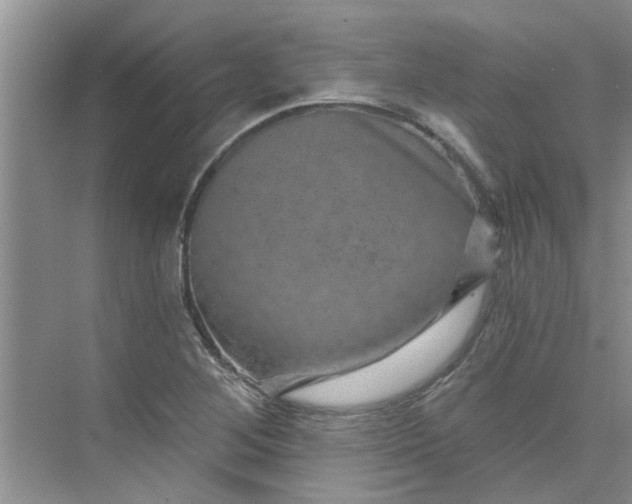 X0000075881268200609291630