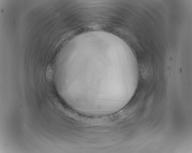 X0000075880036200610062039