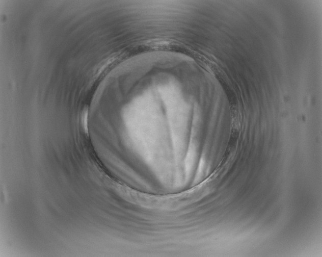 X0000075880047200610062039