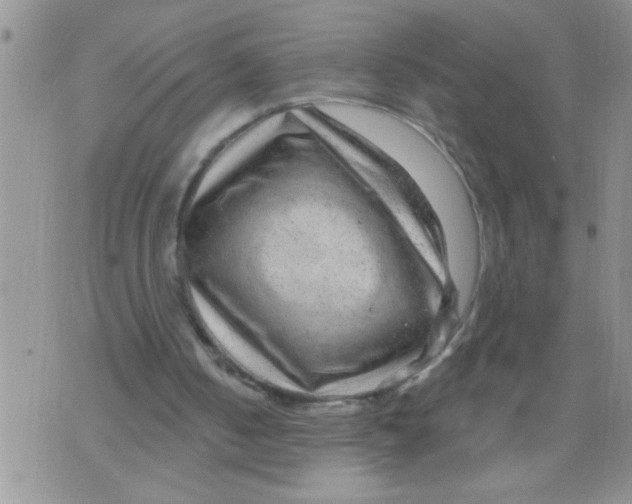 X0000075880050200610062038