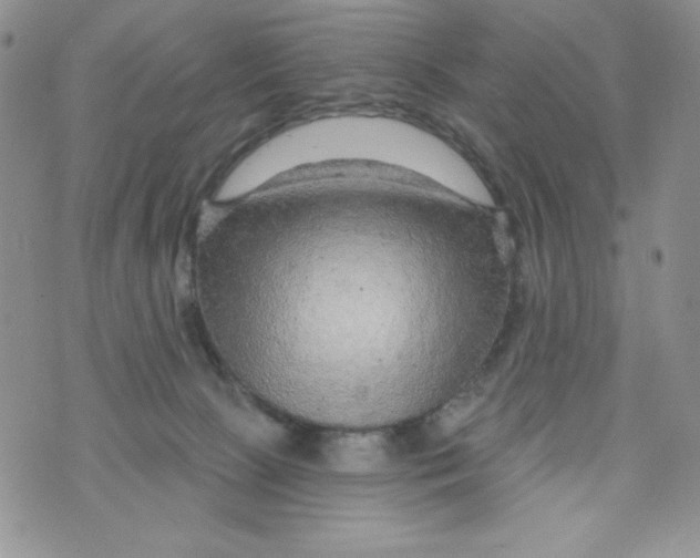 X0000075880081200610062038