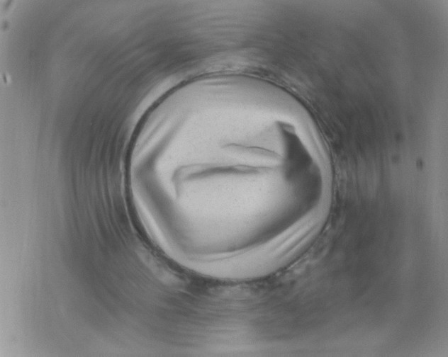 X0000075880100200610062038