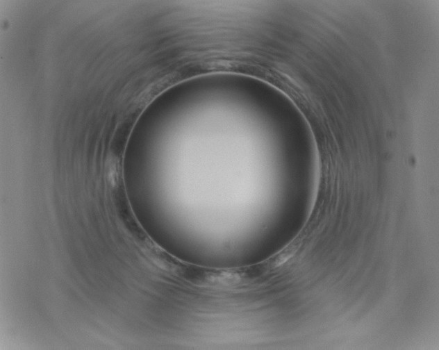 X0000075880125200610062037