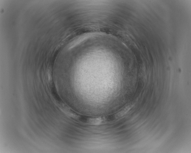 X0000075880131200610062037