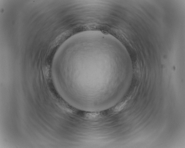 X0000075880139200610062037