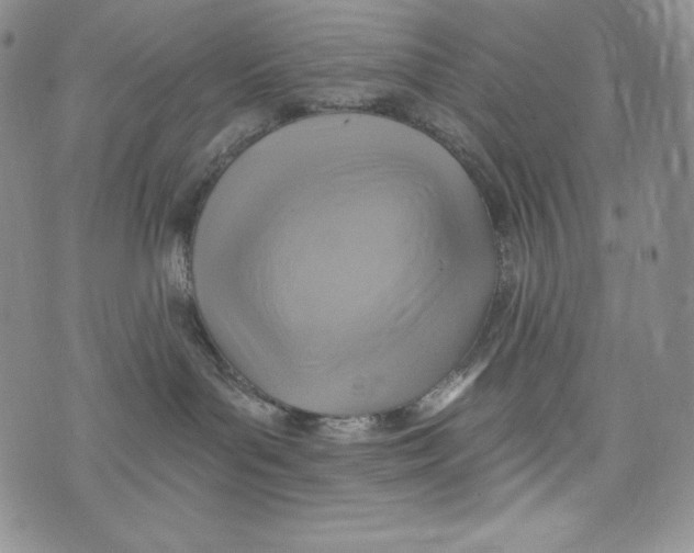 X0000075880143200610062037