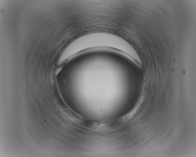 X0000075880174200610062037