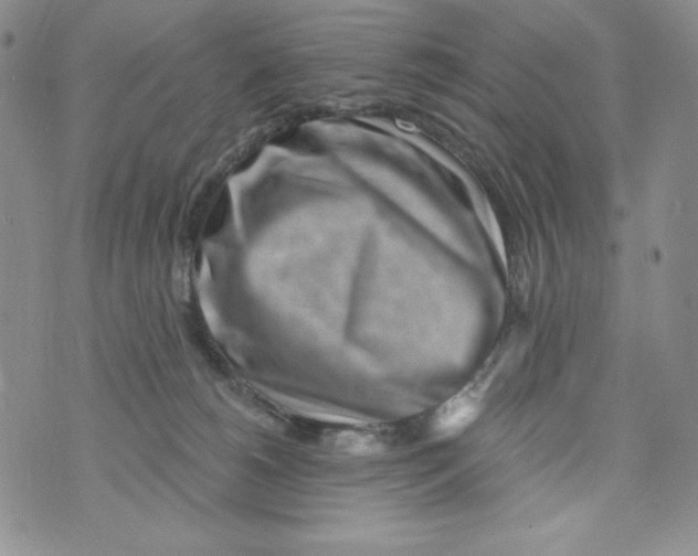 X0000075880180200610062037
