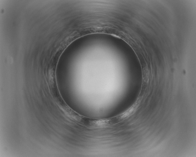 X0000075880184200610062037