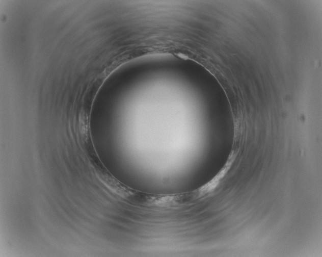 X0000075880186200610062037