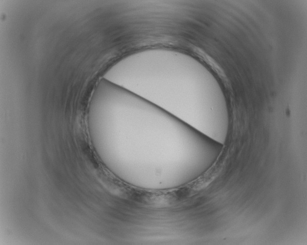 X0000075880209200610062036