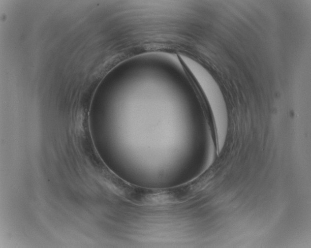 X0000075880219200610062036