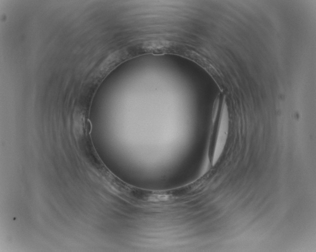 X0000075880227200610062036