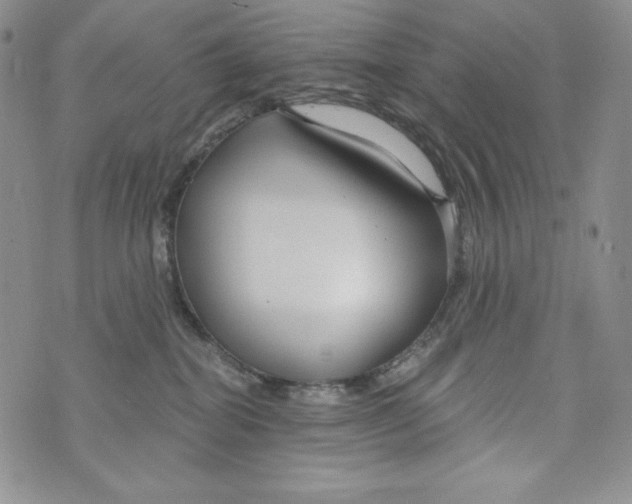 X0000075880282200610062035