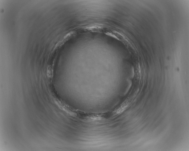 X0000075880284200610062035