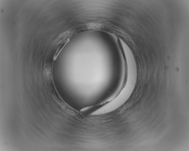 X0000075880329200610062034