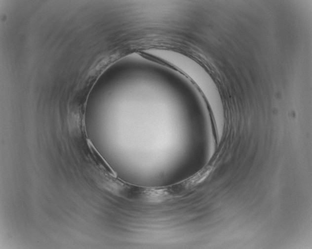 X0000075880333200610062034