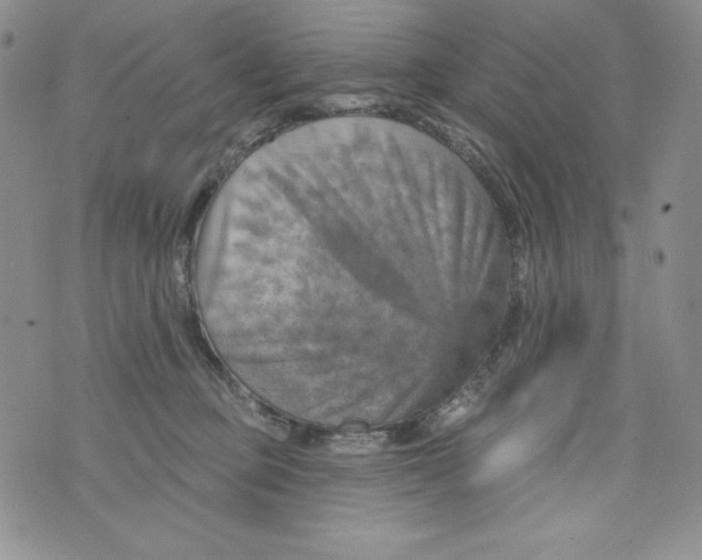 X0000075880373200610062034