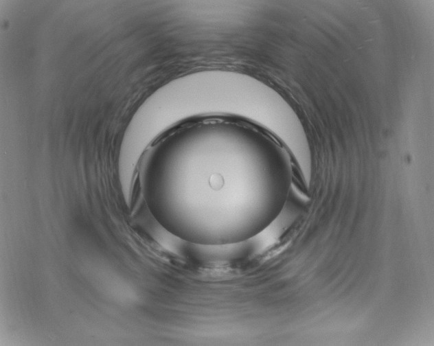 X0000075880380200610062034
