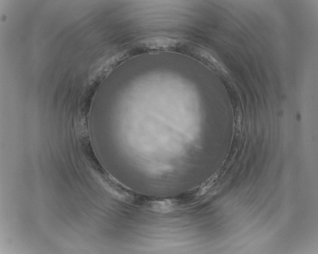 X0000075880411200610062033