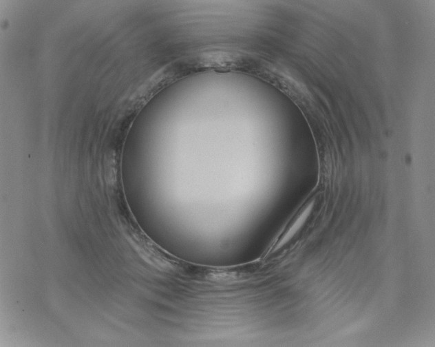 X0000075880413200610062033