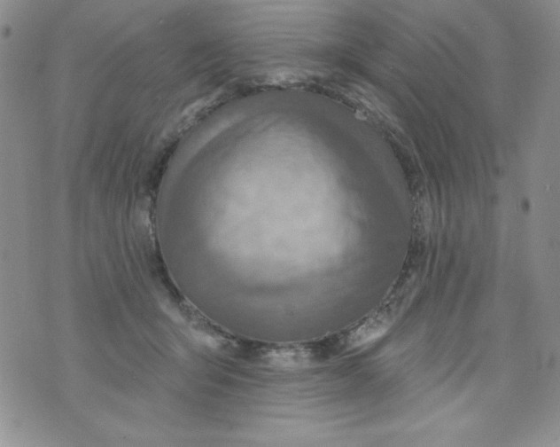 X0000075880415200610062033