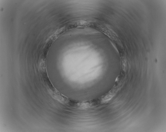 X0000075880419200610062033