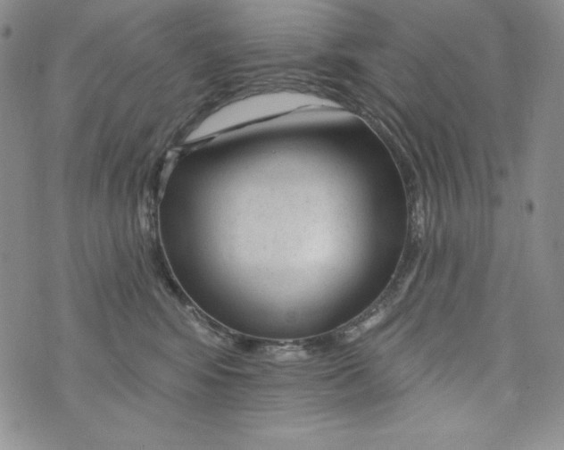 X0000075880424200610062032