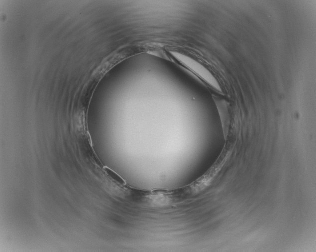 X0000075880425200610062032