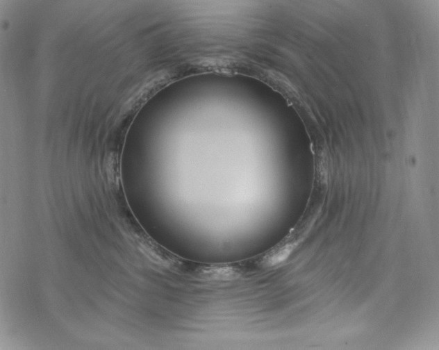 X0000075880428200610062032