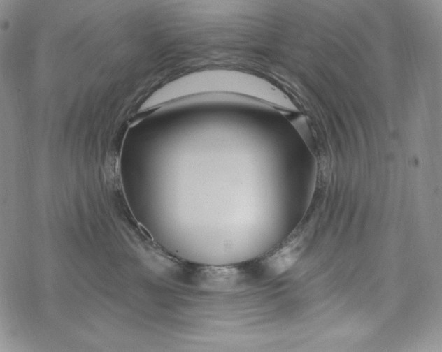 X0000075880429200610062032