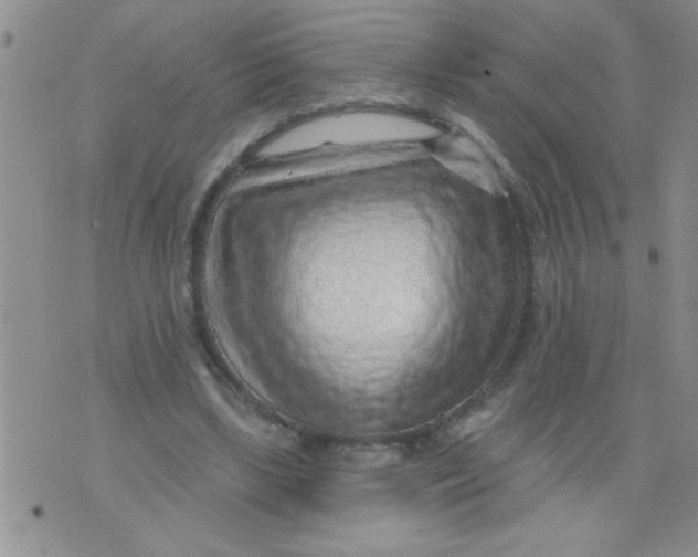 X0000075880443200610062032