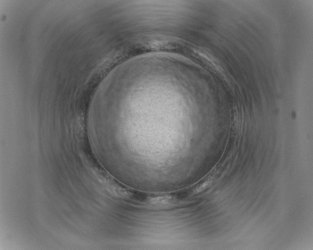 X0000075880461200610062032