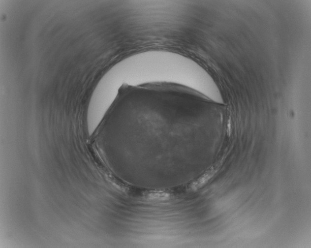 X0000075880471200610062032