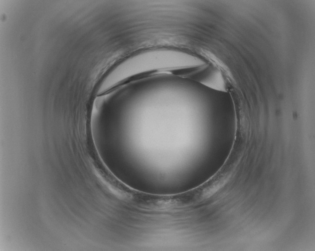 X0000075880493200610062031