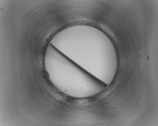 X0000075880501200610062031