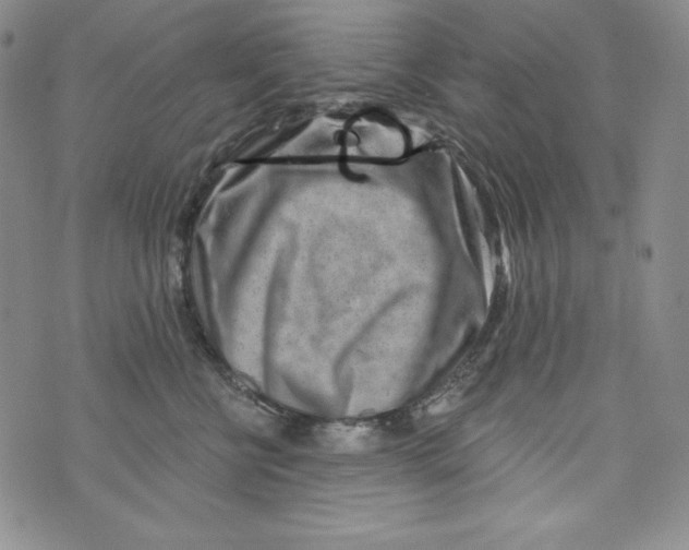 X0000075880570200610062031