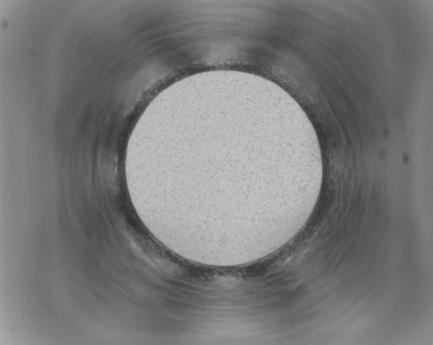 X0000075880592200610062030