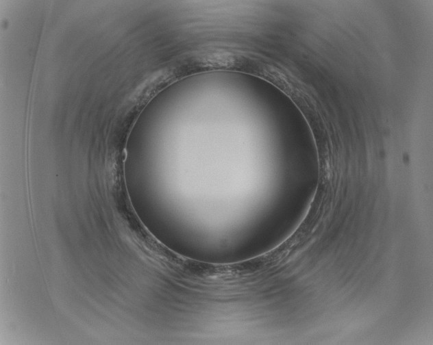X0000075880600200610062030