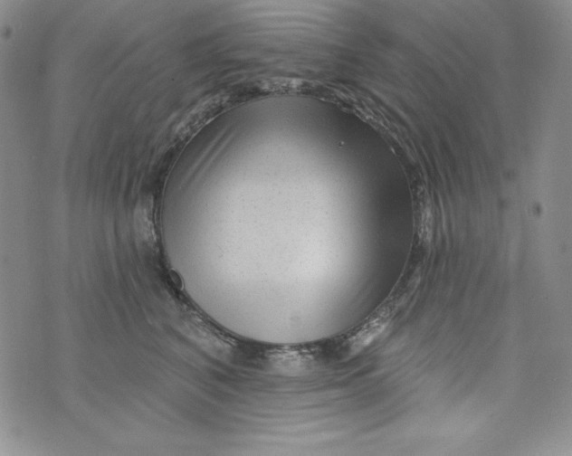 X0000075880616200610062029